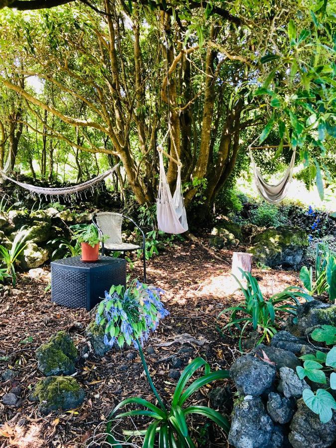 Quinta Pereirinha Farm - A Private 3 Bedroom Vacation Home, Close To Hiking W Ocean Views - Pico Island, Azores São Roque do Pico Eksteriør billede